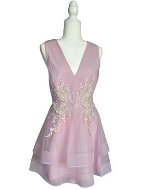 BCBG MAXAZRIA NWT Pale Pink Tiered Dress Lace Tulle Embroidered Size 6
